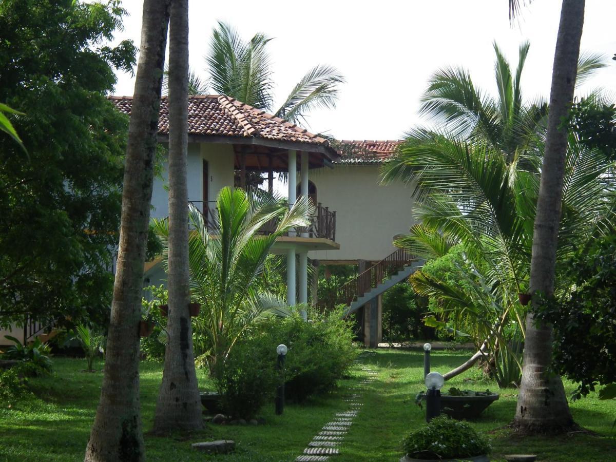 Villa Coconut Island à Tangalle Extérieur photo