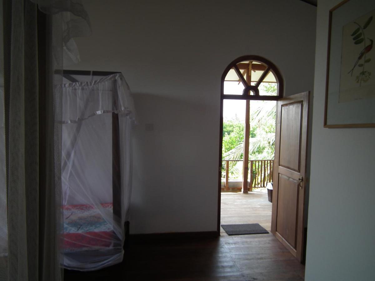 Villa Coconut Island à Tangalle Extérieur photo