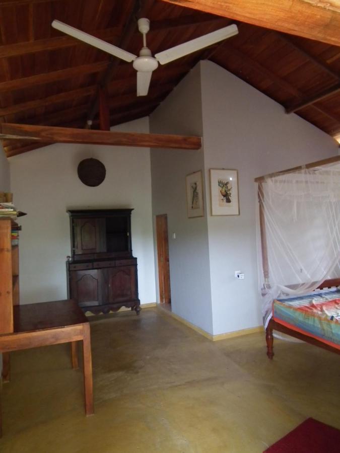 Villa Coconut Island à Tangalle Extérieur photo