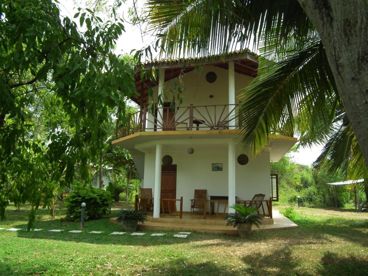 Villa Coconut Island à Tangalle Extérieur photo