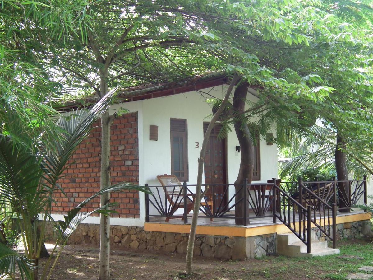 Villa Coconut Island à Tangalle Extérieur photo