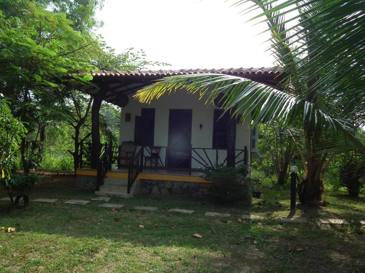 Villa Coconut Island à Tangalle Extérieur photo