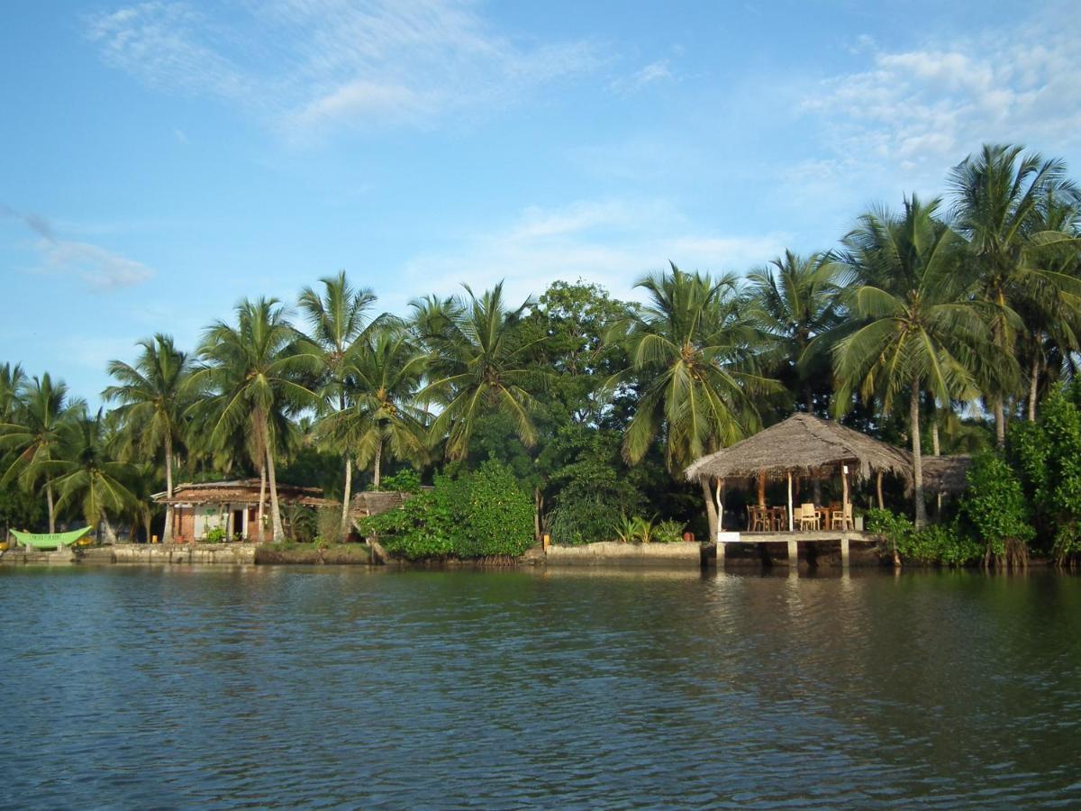 Villa Coconut Island à Tangalle Extérieur photo