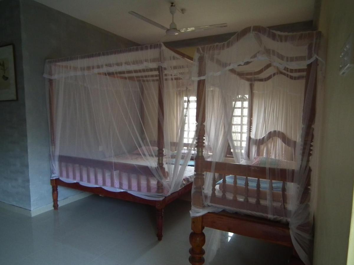 Villa Coconut Island à Tangalle Extérieur photo